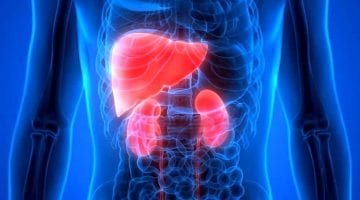 Peptide Therapy for Hepatorenal Syndrome